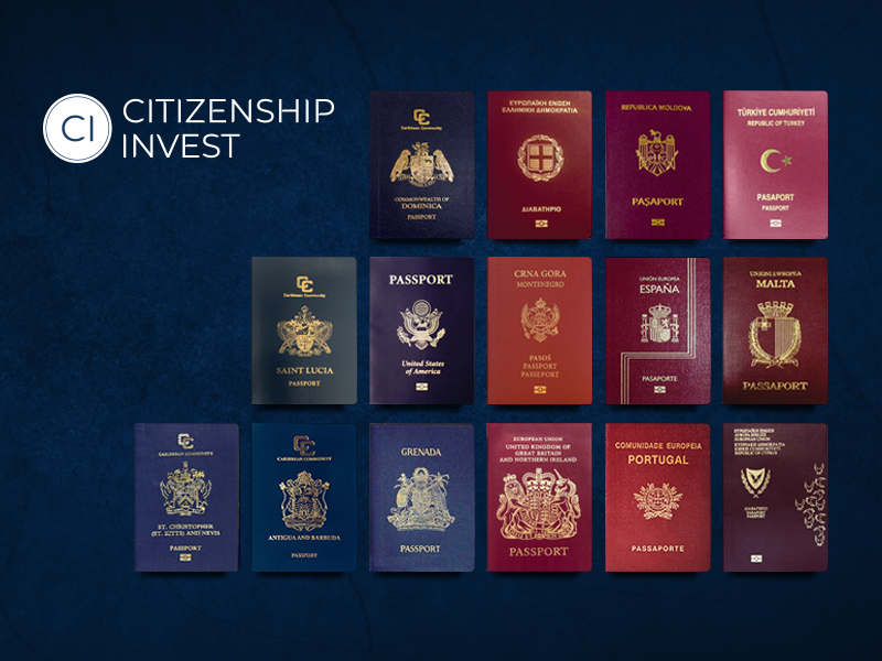 Citizenship Invest | Website Design & Web Development | Element8 Dubai